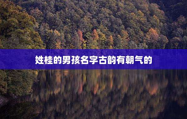 姓桂的男孩名字古韵有朝气的