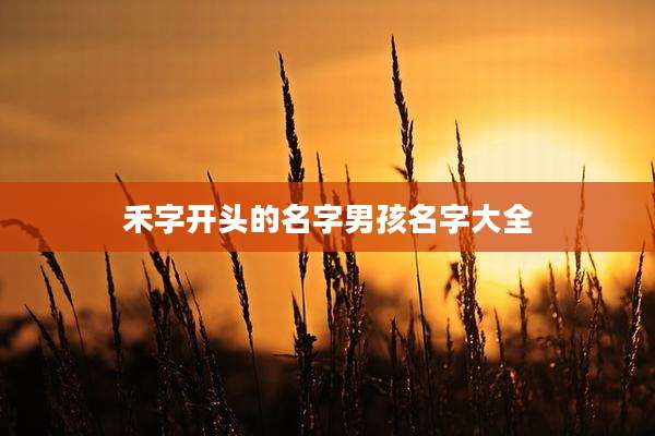禾字开头的名字男孩名字大全