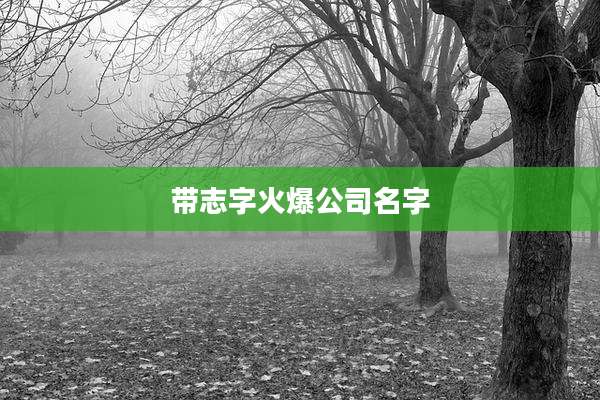 带志字火爆公司名字