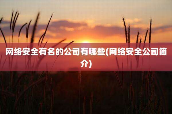 网络安全有名的公司有哪些(网络安全公司简介)