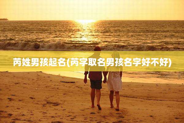 芮姓男孩起名(芮字取名男孩名字好不好)