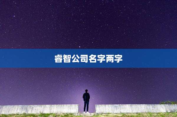 睿智公司名字两字