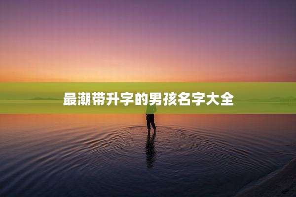 最潮带升字的男孩名字大全