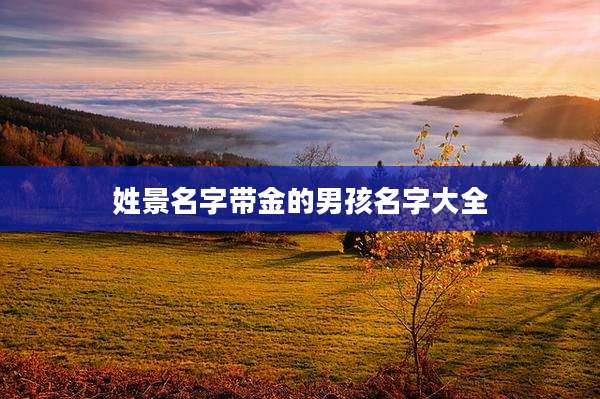 姓景名字带金的男孩名字大全