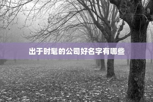 出于时髦的公司好名字有哪些