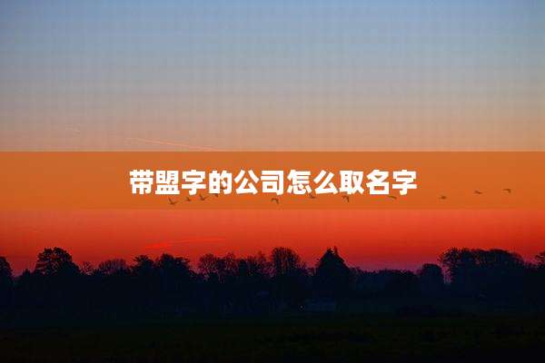 带盟字的公司怎么取名字