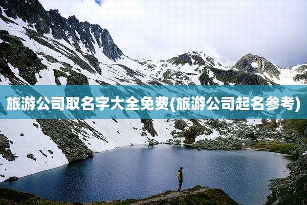 旅游公司取名字大全免费(旅游公司起名参考)