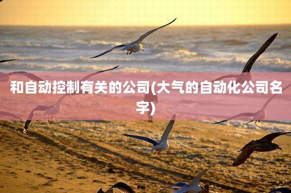 和自动控制有关的公司(大气的自动化公司名字)