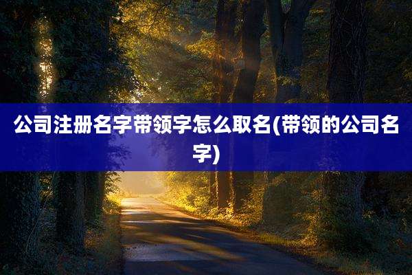 公司注册名字带领字怎么取名(带领的公司名字)