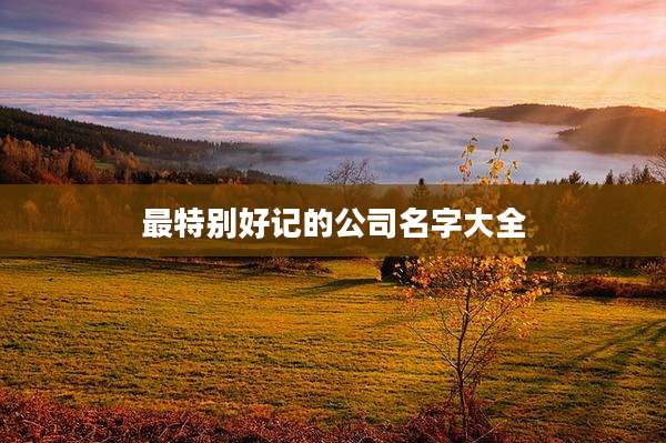 最特别好记的公司名字大全