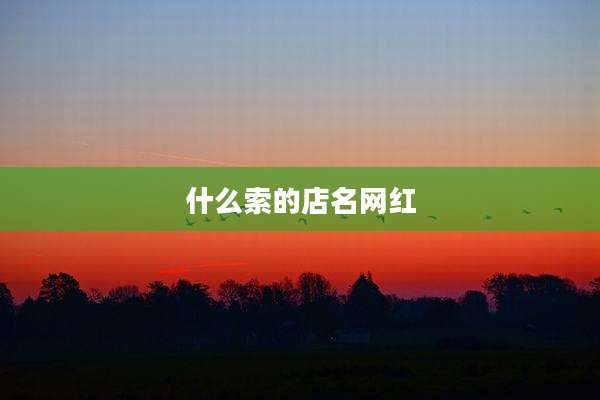 什么索的店名网红