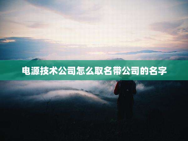 电源技术公司怎么取名带公司的名字
