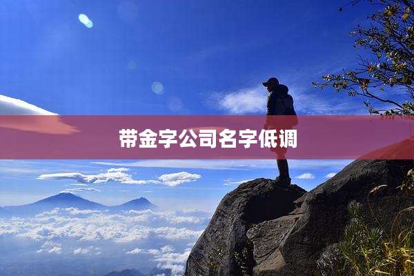 带金字公司名字低调