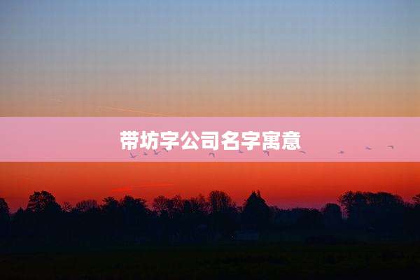 带坊字公司名字寓意