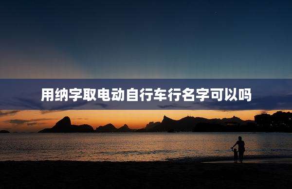 用纳字取电动自行车行名字可以吗