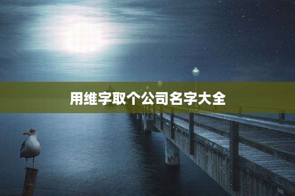 用维字取个公司名字大全