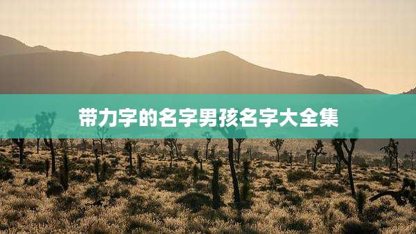 带力字的名字男孩名字大全集