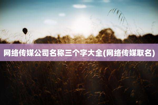 网络传媒公司名称三个字大全(网络传媒取名)