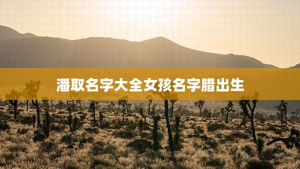 潘取名字大全女孩名字腊出生