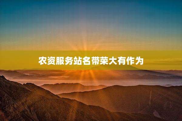 农资服务站名带荣大有作为