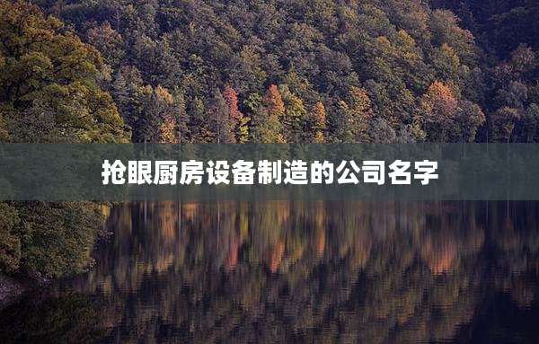 抢眼厨房设备制造的公司名字