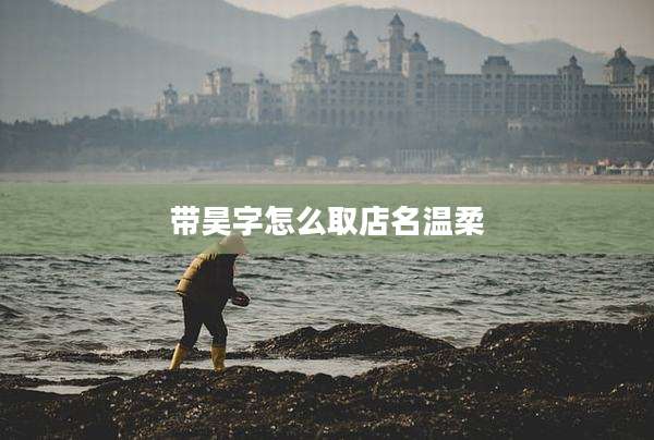 带昊字怎么取店名温柔