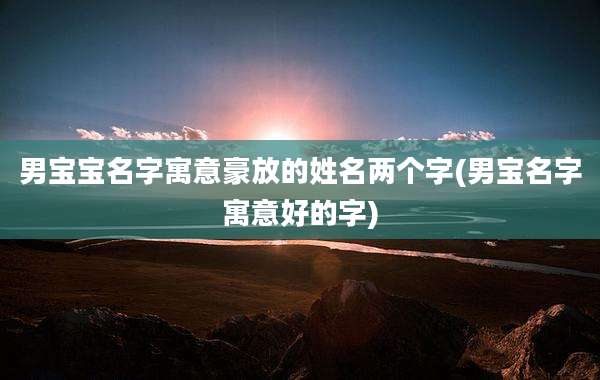 男宝宝名字寓意豪放的姓名两个字(男宝名字寓意好的字)