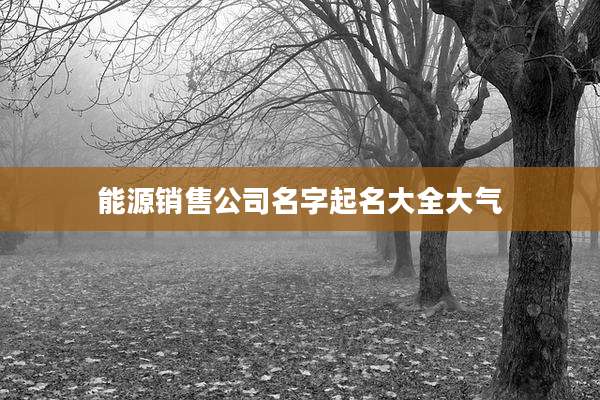 能源销售公司名字起名大全大气