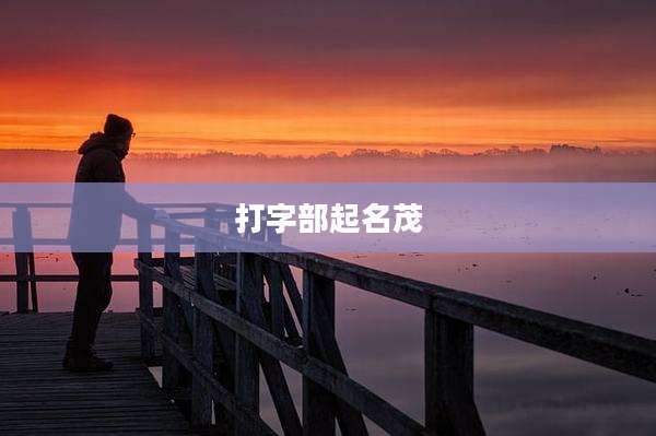 打字部起名茂