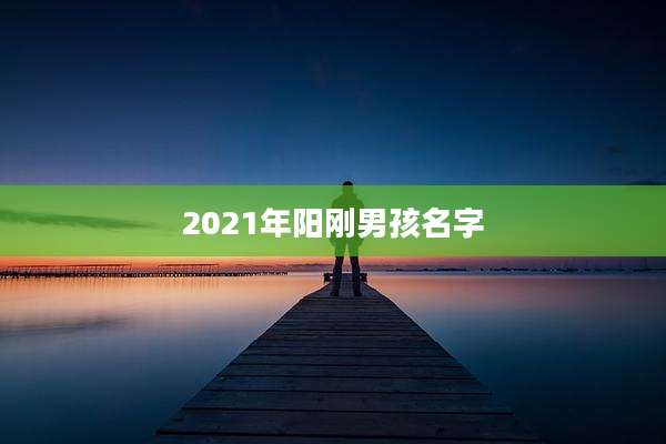 2021年阳刚男孩名字