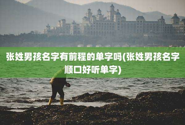 张姓男孩名字有前程的单字吗(张姓男孩名字顺口好听单字)