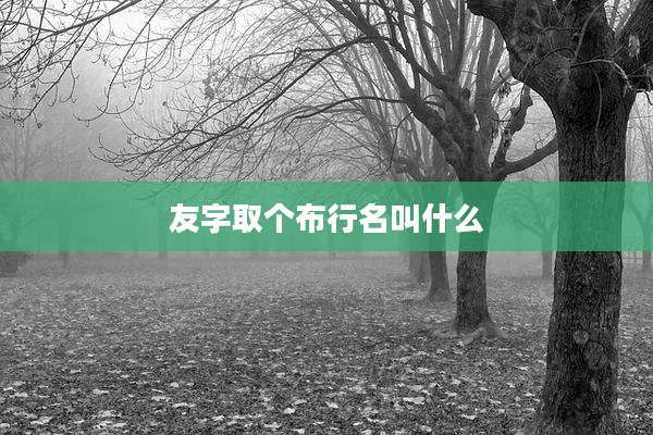 友字取个布行名叫什么