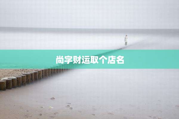 尚字财运取个店名