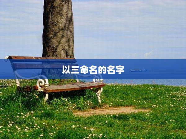 以三命名的名字