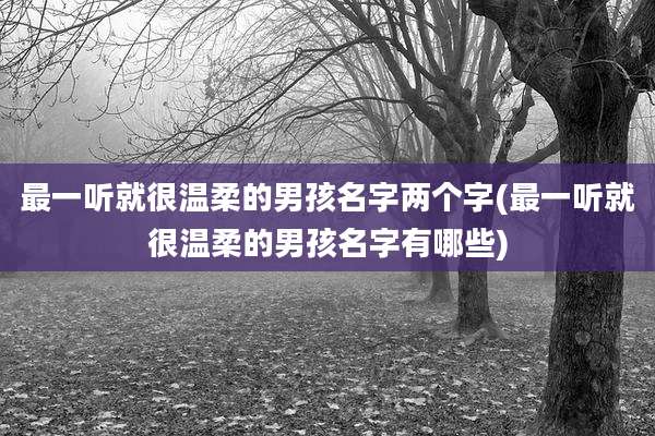 最一听就很温柔的男孩名字两个字(最一听就很温柔的男孩名字有哪些)