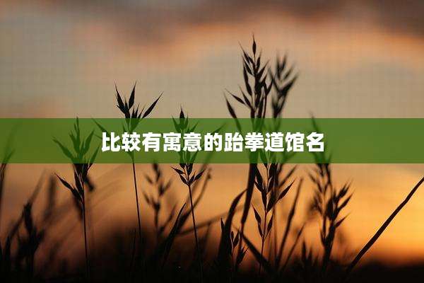 比较有寓意的跆拳道馆名