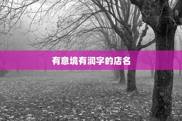 有意境有润字的店名