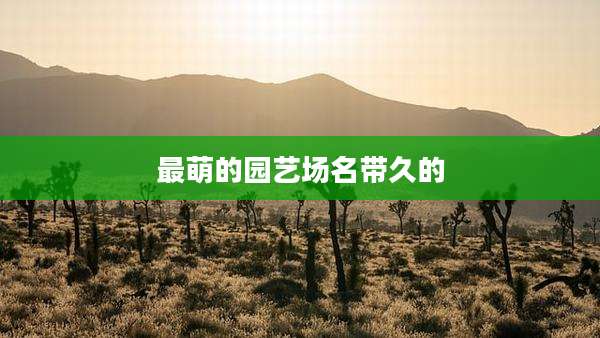 最萌的园艺场名带久的