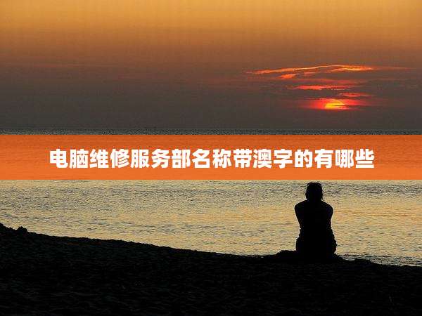 电脑维修服务部名称带澳字的有哪些