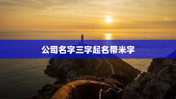 公司名字三字起名带米字