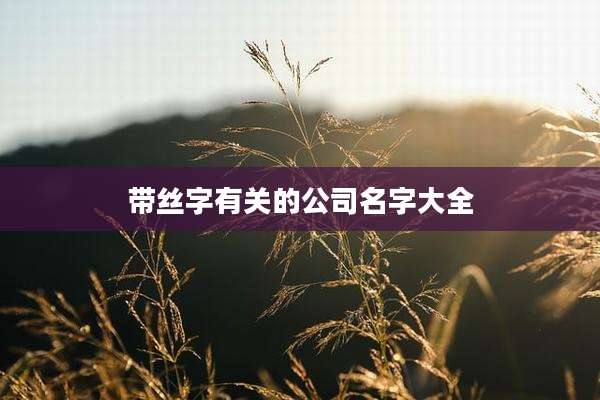 带丝字有关的公司名字大全