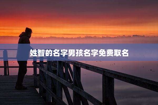 姓智的名字男孩名字免费取名