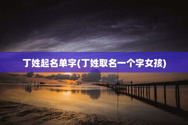 丁姓起名单字(丁姓取名一个字女孩)