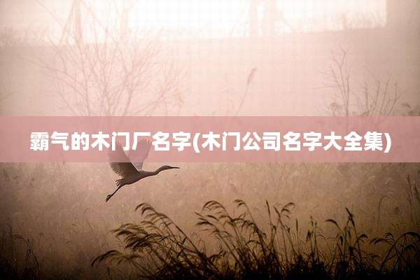 霸气的木门厂名字(木门公司名字大全集)