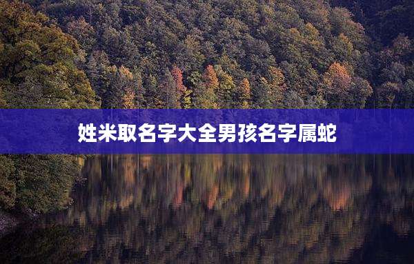 姓米取名字大全男孩名字属蛇