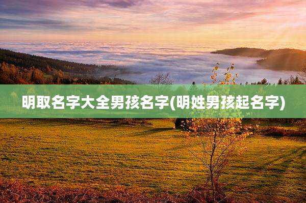 明取名字大全男孩名字(明姓男孩起名字)