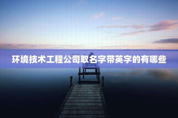 环境技术工程公司取名字带英字的有哪些