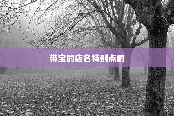带宝的店名特别点的