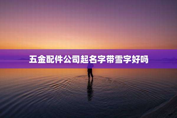 五金配件公司起名字带雪字好吗