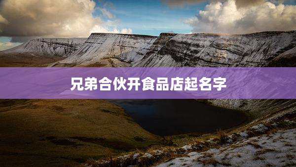 兄弟合伙开食品店起名字
